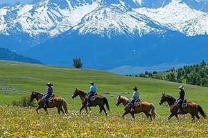 A professional rider on a horse